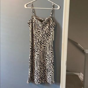 Banana Republic Zebra Print Dress
